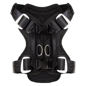 Meilleurs prix pour EzyDog Harnais pour voiture Drive Dog (M, Chien, Général), Collier + laisse