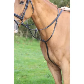 Comparer les prix de Martingale pour cheval pour course Velociti Gara