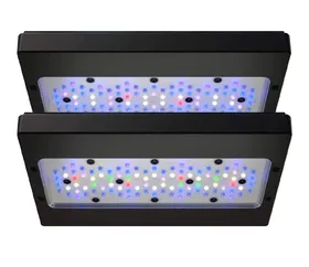 Comparer les prix de Ecotech Marine Radion Xr30 G6 Bleu