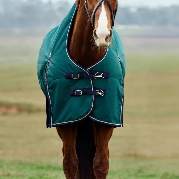 Couverture d'extérieur pour cheval col haut Weatherbeeta Comfitec Plus Dynamic 220g – photo 3