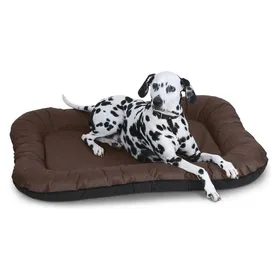 Meilleurs prix pour Knuffelwuff Lit pour chien Outdoor Lucky, 3XL, 140 x 105 cm (Chien), Panier pour chien + chat