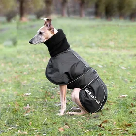 Meilleurs prix pour Manteau Back on Track whippet 35 cm