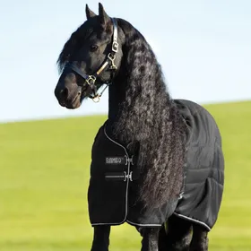 Comparer les prix de Horseware Rambo Stable 200g - Taille 165 - Noir