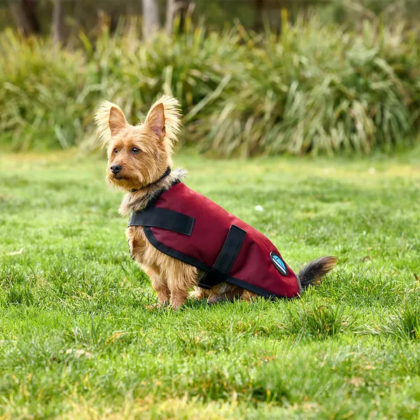 Manteau pour chien impérméable Weatherbeeta Comfitec Classic - burgundy - Rouge - 35 cm – photo 4