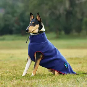 Meilleurs prix pour Manteau polaire pour chien Weatherbeeta Comfitec avec fermeture éclair - Taille 30 - Bleu
