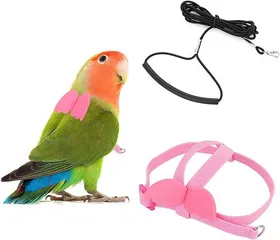 Meilleurs prix pour Harnais Perroquet Laisse Réglable FONGWAN Corde Anti-morsure Entraînement Vol pour Animaux Oiseaux, XL - Rose