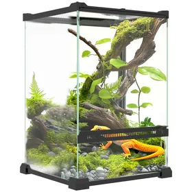 Meilleurs prix pour Terrarium en Verre Trempé 12L pour Lézards et Grenouilles - 20x20x30 cm - Système Anti-Évasion et Ventilation