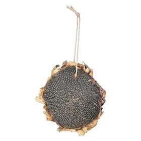 Comparer les prix de Mélange de graines - ESSCHERT DESIGN - Tournesol séché pour oiseaux - Riche en nutriments et vitamines