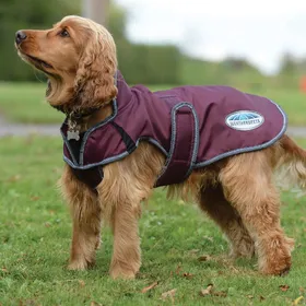 Comparer les prix de Weatherbeeta Comfitec Windbreaker Free Deluxe manteau pour chien - Taille 30 - Rouge