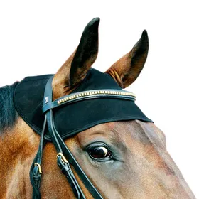 Comparer les prix de Protège nuque Back on Track