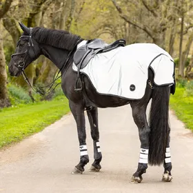 Comparer les prix de LeMieux Couvre-reins réfléchissant - Taille S