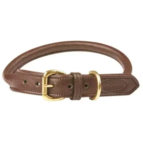 Meilleurs prix pour Weatherbeeta - Collier cuir - Chien (2XL) (Marron clair) - UTWB1256