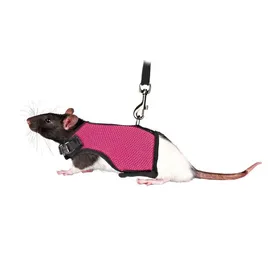 Comparer les prix de 1,2 m Harnais doux avec laisse, pour rats - couleur aléatoire - animallparadise 3 Multicolor