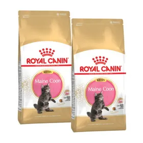 Meilleurs prix pour ROYAL CANIN Maine Coon Chaton Croquettes Chat 2x10 kg