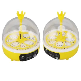 Meilleurs prix pour Incubateur d'œufs pour la maison Contrôle automatique de la température 7W 4 œufs Candler Machine à couver volaille pour poussins  s  s