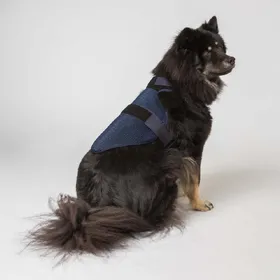 Comparer les prix de Harnais rafraîchissant pour chien Cool on Track - Taille XS