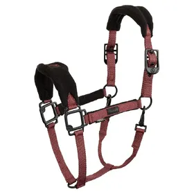 Comparer les prix de Licol pour cheval BR Equitation Eevolv Lavina