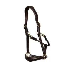 Meilleurs prix pour Licol cuir pour cheval Dyon