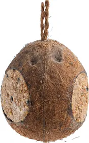 Comparer les prix de Enjoy Nature Noix De coco - 350g