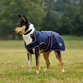 Meilleurs prix pour Manteau pour chien Weatherbeeta Comfitec Premier Deluxe - Bleu - 80 cm