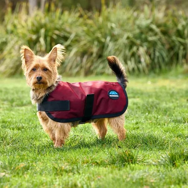 Manteau pour chien impérméable Weatherbeeta Comfitec Classic - burgundy - Rouge - 35 cm – photo 3