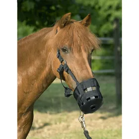 Meilleurs prix pour United Sportproducts Muselière Poney