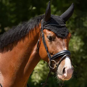 Comparer les prix de Bonnet pour poney court QHP Flore