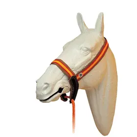 Comparer les prix de Bridon équitation de type portugais en nylon Mehis