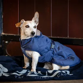 Comparer les prix de Bucas Cosy Dog Rug – Manteau pour chien