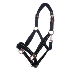 Meilleurs prix pour Licol pour cheval HKM Berry