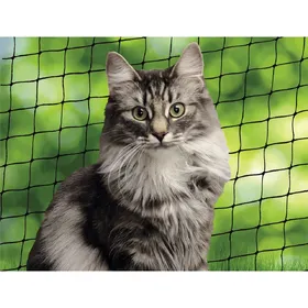 Comparer les prix de Nobby Filet de protection pour chats, Chatire + filet pour chat
