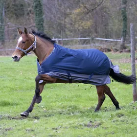 Comparer les prix de Couverture d'extérieur pour cheval Equithème Tyrex 600 D 50g