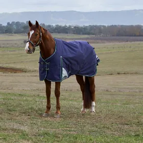 Meilleurs prix pour Couverture dextérieur pour cheval Weatherbeeta Comfitec Plus Dynamic 220g - Bleu - 140 cm