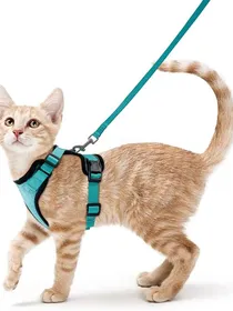 Meilleurs prix pour Harnais et laisse pour chat pour la promenade, Harnais gilet doux réglable anti-évasion pour chats, Contrôle facile (PURPLE,S) violet