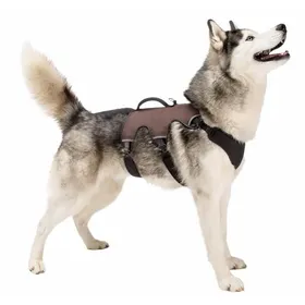 Comparer les prix de Harnais Ferplast Ergotrekking, marron pour chien  - taille S : tour de poitrail 46 - 56 cm