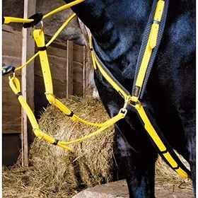 Meilleurs prix pour T·De·T - Collier De Chasse Biotack Jaune Pur-Sang