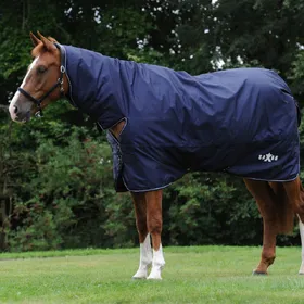 Comparer les prix de Couverture d'extérieur pour cheval avec couvre-cou détachable Weatherbeeta Saxon Defiant 600D Combo 300g
