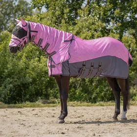 Comparer les prix de Chemise anti-mouches pour cheval encolure et bonnet QHP