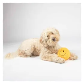 Meilleurs prix pour Jouet peluche pour chien Coockoo Doudou Giggly Gary