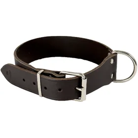Meilleurs prix pour Collier pour chien riveté Akah