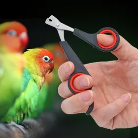 Comparer les prix de Coupe-ongles pour animaux de compagnie, ciseaux pour coupe-ongles pour perroquets, pour chiens, chats, oiseaux, cochons d'Inde, coupe-griffes pour animaux, coupe-pattes, cisaille pour oiseaux et perroquets noir