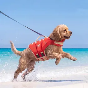 Comparer les prix de Gilet de sauvetage imperméable pour chien Respirant Haute flottabilité Combinaison de natation pour chien Réglable Coussinet éponge épais Gilet de sauvetage pour chien Natation (Red,M)