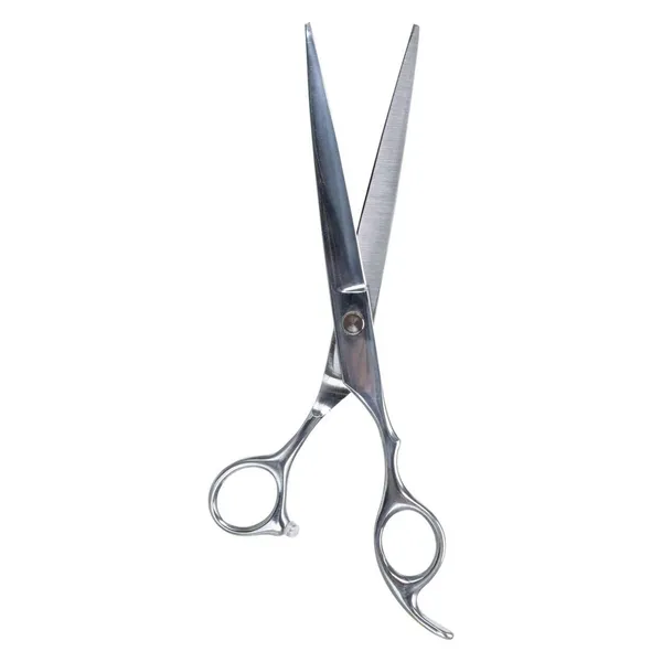 Ciseaux professionnels de tonte 20 cm - Trixie - TR-23690 – photo 2
