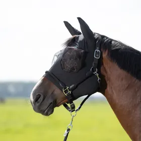 Comparer les prix de Masque anti-mouches pour cheval élastique HKM