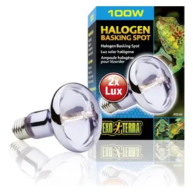 Meilleurs prix pour Exo Terra - Ampoule Halogène Basking Spot - 50W