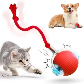 Comparer les prix de Jouet Interactif Pour Chat Et Chien Trois Modes De Travail Rechargeable Par USB Rotation À 360 ° Pour Chats Et Chiens Rouge