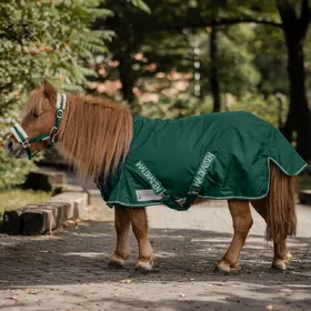 Comparer les prix de Couverture dextérieur pour cheval Waldhausen Shetty 100g - Vert - 80 cm