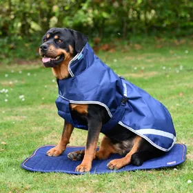 Meilleurs prix pour Couverture pour chien Bucas Therapy - Marine/Orange