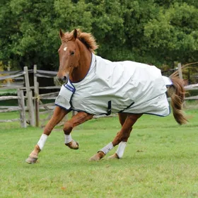 Meilleurs prix pour Bucas Power Turnout Light High Neck 0g SD - gris