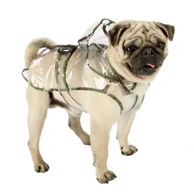 Meilleurs prix pour RAINCOAT 37 imperméable pour chien A: 40÷44 cm - C: 37 cm